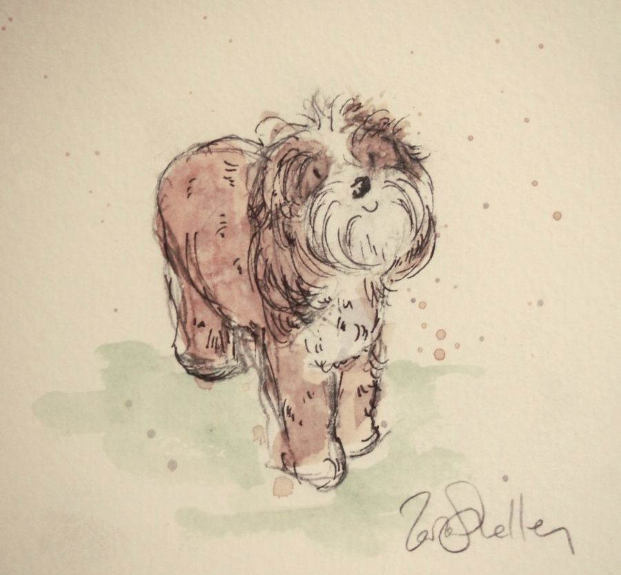 Pencil portrait of a smiling dog