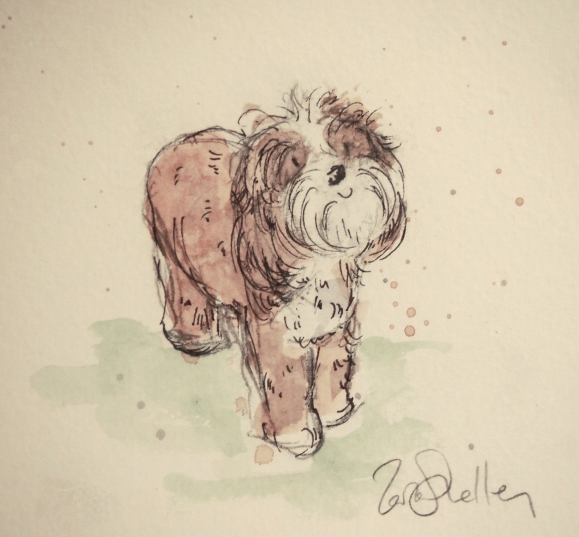 Pencil portrait of a smiling dog