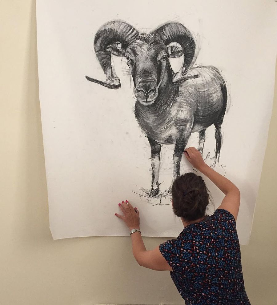 Charcoal drawing of Castlemilk Moorit sheep
