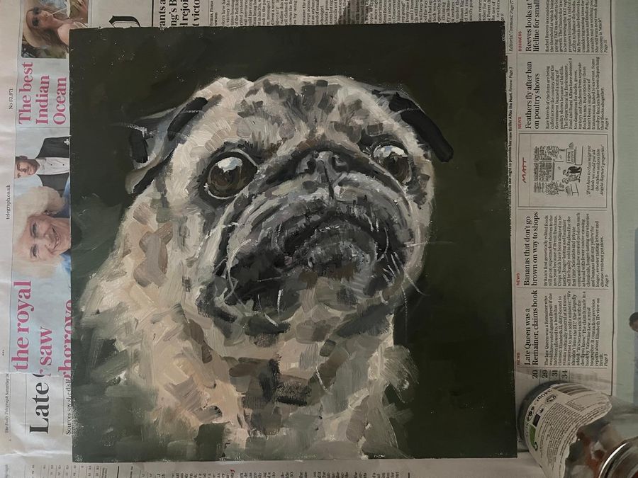 Oil painting portrait of a pug