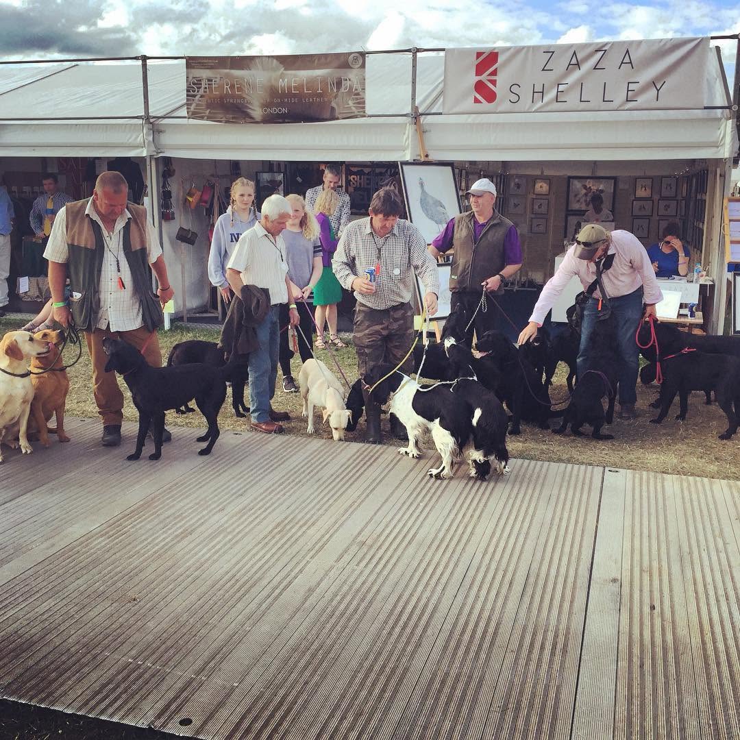 Zaza Shelley booth at the Game Fair, Ragley Hall, with dogs waiting for portraits